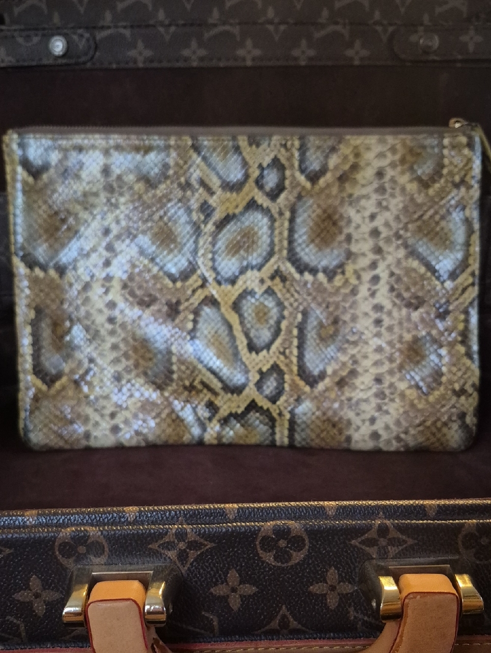 Python Print Leather Zip Pouch in Tan and Brown